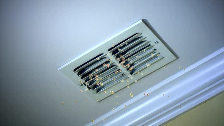 Best Residential Air Duct Cleaning  in Eagleville, PA
